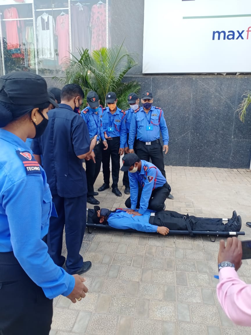Professional Security Services